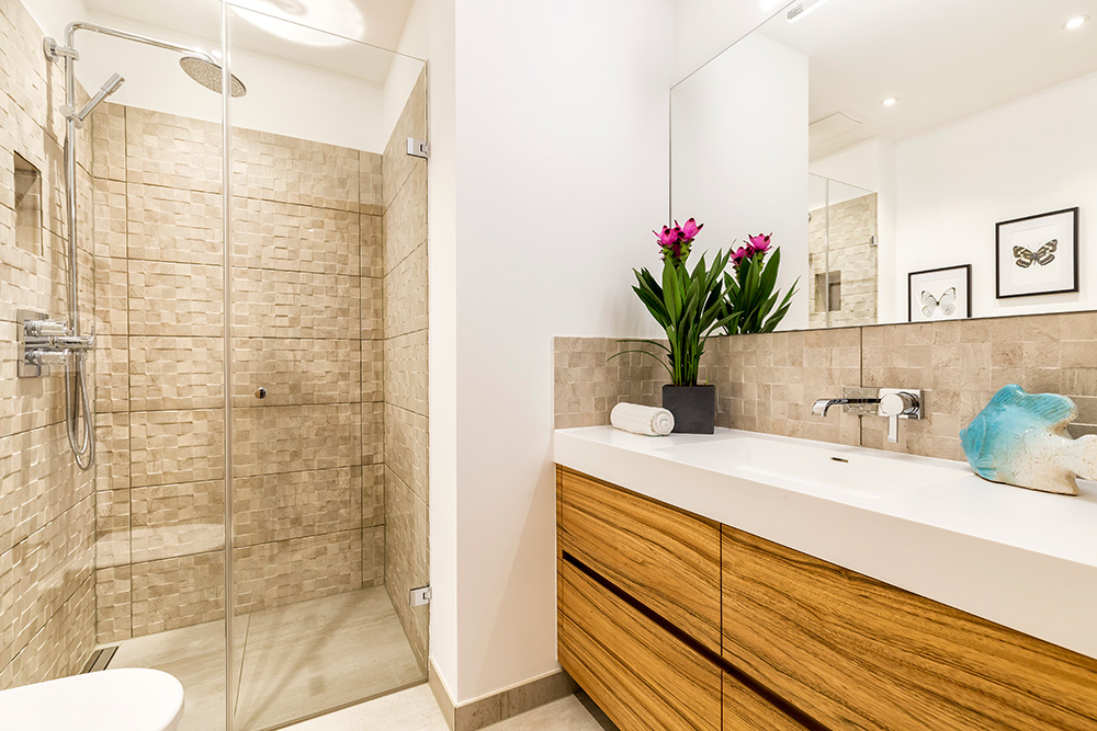 Silbermöwe in Sylt-List, Haus 7b