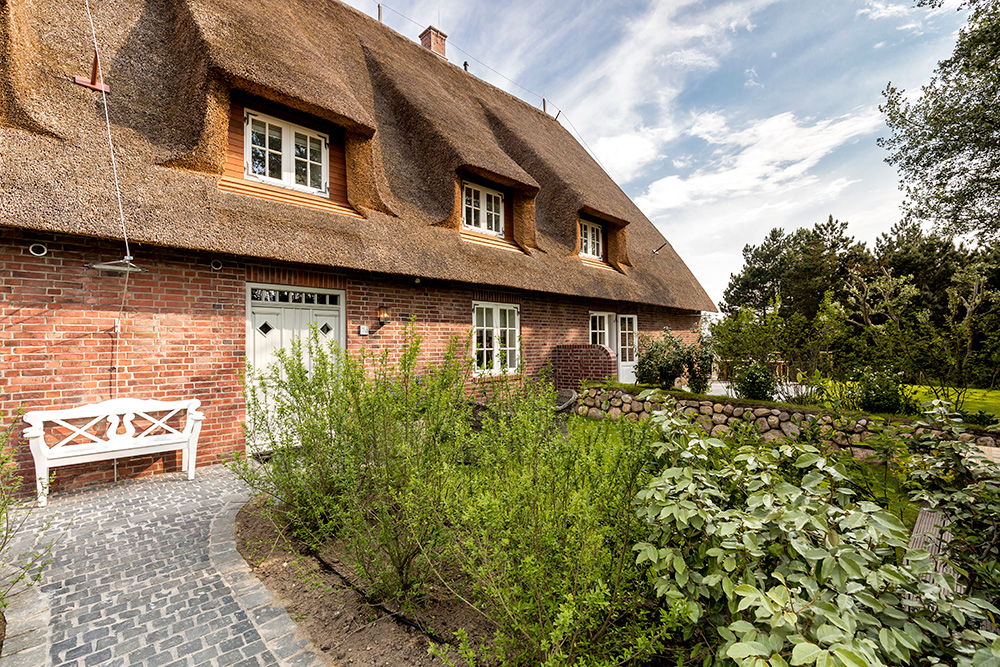 Silbermöwe in Sylt-List, Haus 7c