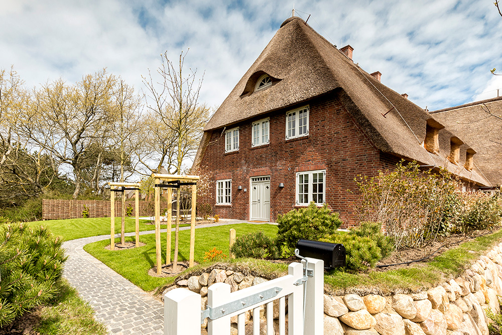 Silbermöwe in Sylt-List, Haus 7d